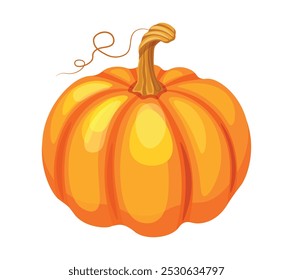 Orange pumpkin in cartoon style. Vector illustration of a whole pumpkin with a wavy tendril, stem isolated on a white background. Autumn harvest.