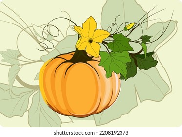 orange pumpkin design for the holiday halloween, labu dan daun gugur. Templat desain ucapan syukur. Festival panen. labu. Ilustrasi vektor