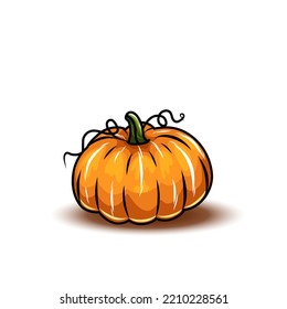 Orange pumpkin, different types of Cartoon pumpkins. halloween, fall harvest gourds. Pumpkins, squash and leaves vector symbols illustrations. Autumn thanksgiving and halloween pumpkins