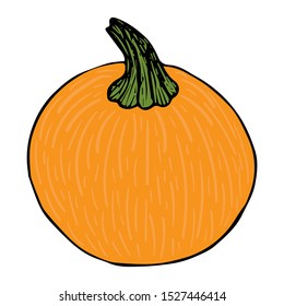 Orange pumpkin doodle isolated on white background vector illustration for decoration and design