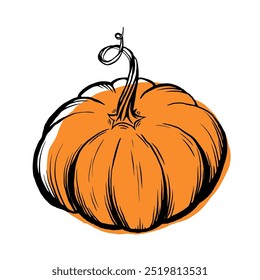 Orange pumpkin drawing, sketch style vector illustration, black line and orange stain, isolated on a white background