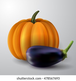 orange pumpkin and eggplant isolated on white background vector illustration