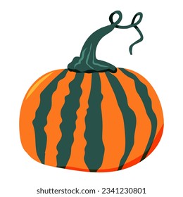 Orange pumpkin. Fall vegetable. Vector illustration. 