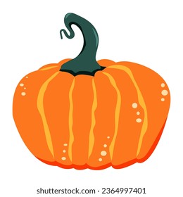 Orange pumpkin. Fall vegetable. Vector illustration. 