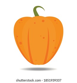 orangefarbener Kürbis mit flachem Design, Vektorgrafik, einzeln auf weißem Hintergrund. Halloween Herbst, Kürbis-Thanksgiving-Tag, frische und köstliche Gemüsemacherei.