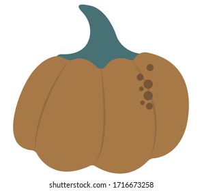 Orange Pumpkin  Flat Vector Illustrationfor Vegans. Vegan Food and Veganism. Giant Fruits and Vegetables. Healthy Huge food. Natural Products. Vegetarianism