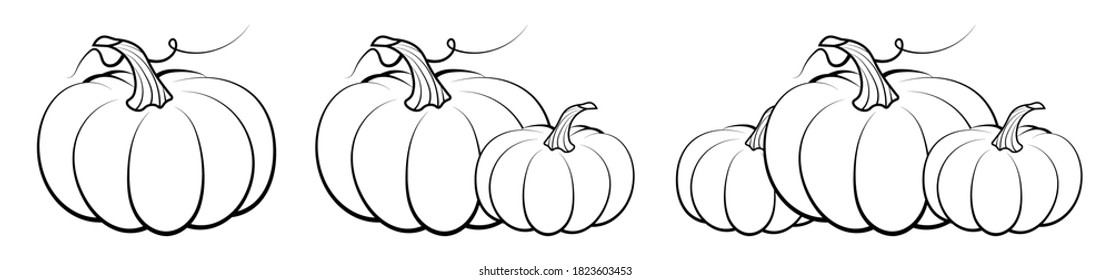 orange pumpkin fruit. Autumn harvest. Autumn Halloween pumpkins. Edible plants. Isolated vector on white background in linear style