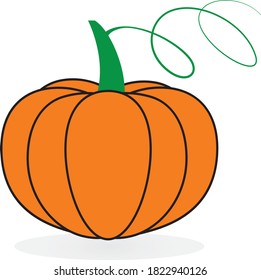 orange pumpkin fruit vector symbol illustration