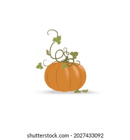 Orange pumpkin with green leaves isolated on white. Autumn harvest. For halloween and thanksgiving day design. Doodle cartoon horizontal banner. Flat vector illustration, isolated objects.