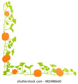 Orange pumpkin green leaves plant vector background card frame corner illustration