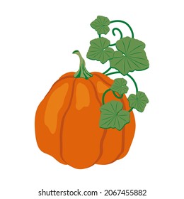 Calabaza naranja con hojas verdes. Ilustración vectorial aislada en fondo blanco. Para carteles, aplicaciones, pines, tarjetas, invitaciones, volantes, cubiertas, pegatinas, textiles, etc.