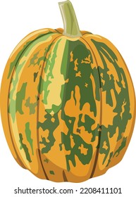 Orange pumpkin with green stripes. Vector illustration