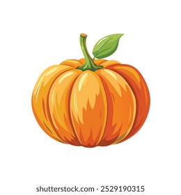 Orange pumpkin, halloween design, fall or autumn pumpkin illustration with green vine leaves and orange gourd. October harvest season vector.