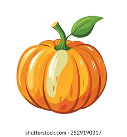 Orange pumpkin, halloween design, fall or autumn pumpkin illustration with green vine leaves and orange gourd. October harvest season vector.