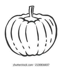 Icono de calabaza naranja en un diseño plano sobre fondo blanco - Línea de salida