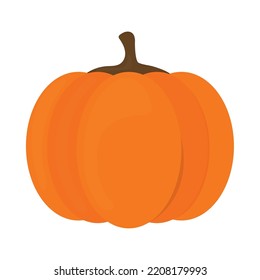orange pumpkin icon on white background