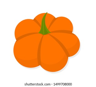 Orange pumpkin icon. Vector illustration