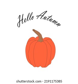 orange pumpkin illustration, lettering hello autumn. autumn harvest illustration.