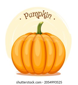 Orange pumpkin isolated object. Vegetable from the farm. Organic food. Vector illustration.