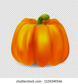 Orange pumpkin  isolated on a transparent  background . Realistic vector