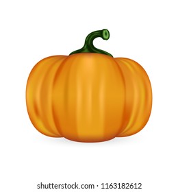 Orange pumpkin isolated on white. Vector illustration. EPS10