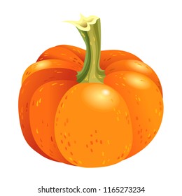 Orange pumpkin isolated on white background. Vector autumn harvest illustration. Halloween decorations