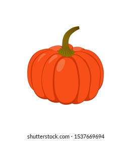 Orange pumpkin isolated on white background.