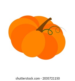 Orange pumpkin isolated on white background, vector illustration.