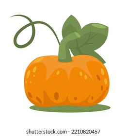 Calabaza naranja con hoja de estilo plano. Cosecha otoñal aislada en un fondo blanco.