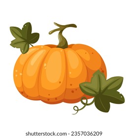 Orange pumpkin with leaf and swirl isolated on white background, vector illustration in cartoon, flat style. Autumn harvest. Halloween pumpkin.