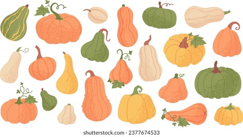 Orange pumpkin with leaves, autumn harvest, different shapes squash and gourd. Halloween celebration symbol, fall season farm vegetable, thanksgiving holiday decor element, yellow pumpkins vector set