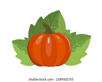 Calabaza naranja con hojas, ilustración vectorial de estilo plano aislada en fondo blanco