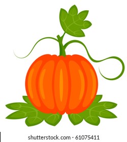 Orange pumpkin with leaves isolated. Vector illustration