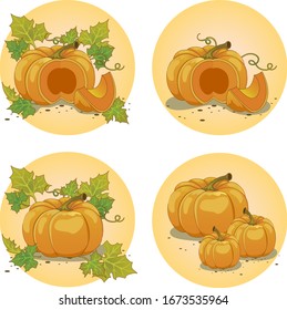Orange pumpkin with leaves the middle is visible and a piece is cut off