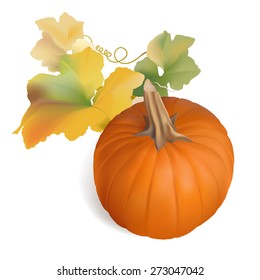 Orange Pumpkin with leaves.Hand drawn vector illustration of a pumpkin with round shape, vibrant color, colorful leaves.Design element on white background for Thanksgiving, Halloween, Autumn designs.
