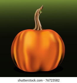 Orange pumpkin on green background EPS10