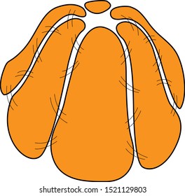 Orange pumpkin on white background. Vector illustration.