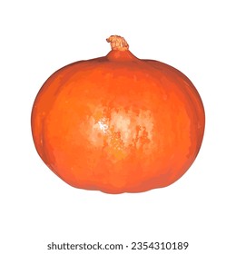 Orange pumpkin on a white background, isolated object. Vector illustration.