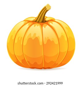 Orange pumpkin on a white background. Eps10.