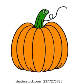 Calabaza naranja en la ilustración vectorial blanca.