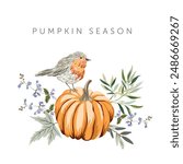 Orange pumpkin, robin bird, maple leaves, white background. Design template with text. Vector illustration. October harvest. Fall season print