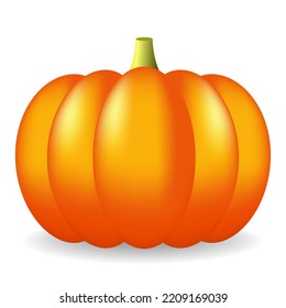 Orangefarbene Kürbis mit Schatten auf weißem Hintergrund, Vektorgrafik