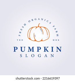 Orange pumpkin simple vector logo illustration template design