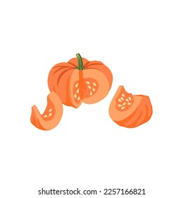 Orange pumpkin slices vector illustration  Cartoon drawing farm harvest vegetable white background  Farming  autumn  harvest  Thanksgiving concept