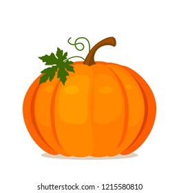 Orange pumpkin with a stem and green leaf. flat vector illustration isolated on white background