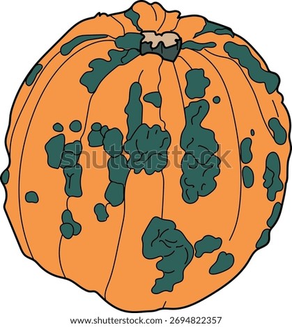 An orange pumpkin with an unusual surface covered with warts on a white background