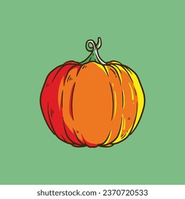 Orangefarbene Kürbis, Vektorgrafik. Herbsthalloween und Thanksgiving-Kürbis, pflanzliche Grafik oder Druck einzeln auf grünem Hintergrund