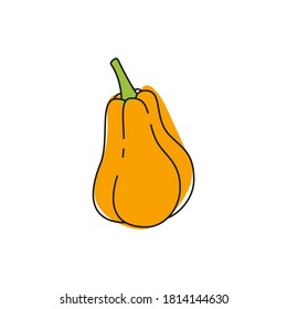 Orange pumpkin vector icon. Symbol of Halloween, Thanksgiving Day. Isolated vegetable on a white background.