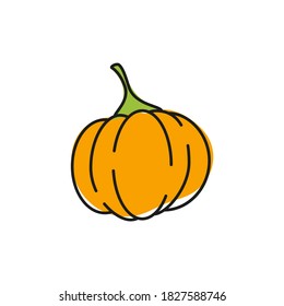Orange pumpkin vector icon. Symbol of Halloween, Thanksgiving Day. Isolated vegetable on a white background.