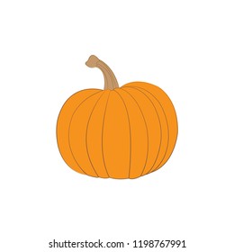 Orange pumpkin vector illustration. 